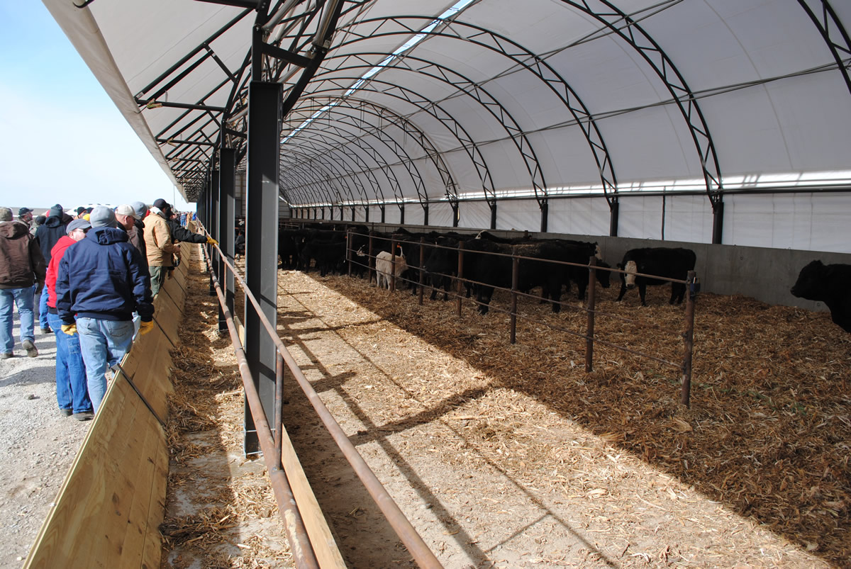 Iowa Beef Center Iowa State University