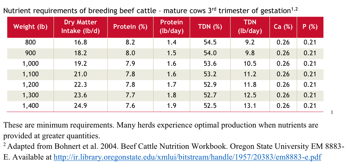 Cattle Feed Protein Chart