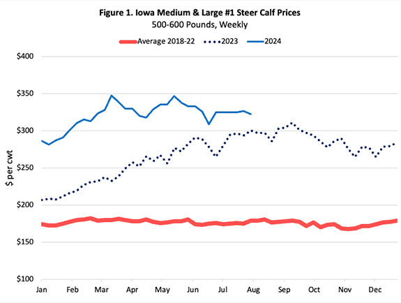 Iowa Medium and Large #1 Steer Calf Prices.