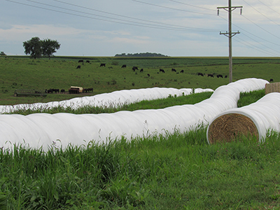 Baleage in the field.