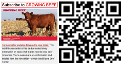 Image and QR code linking to registration page for Growing Beef newsletter.