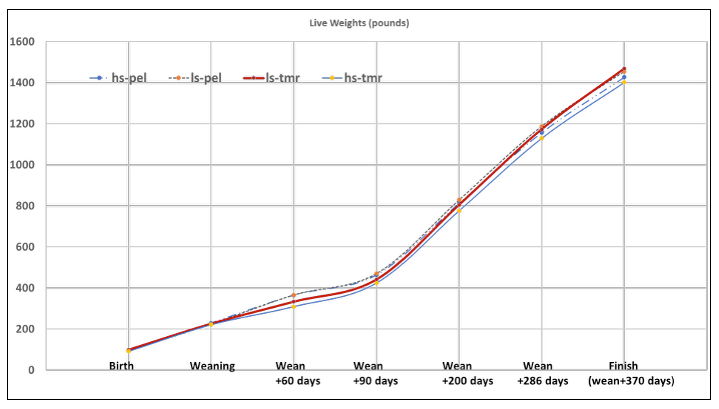 Graph of calves growth curve by diet treatment.