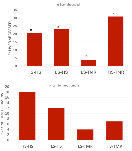 Charts of liver abcess number and percentage and condemned rumens number and percentage by diet treatment of calves.