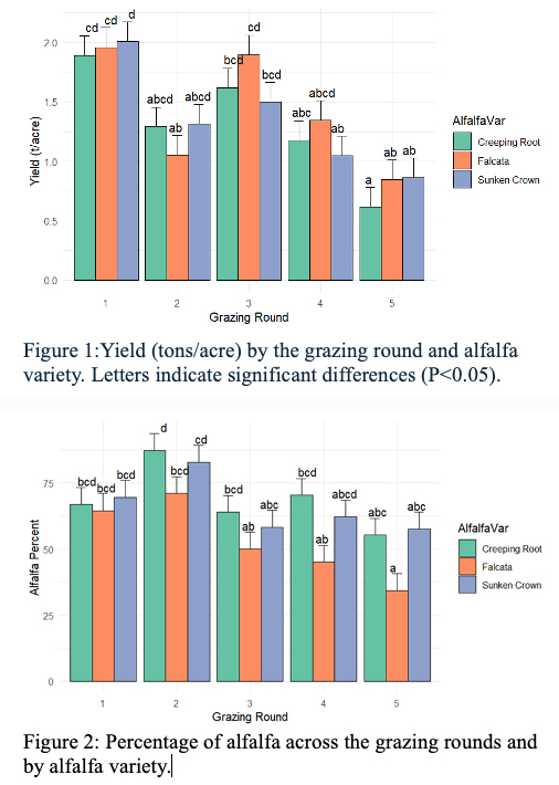 Figure 1 shows yield in tons per acre by the grazing round and alfalfa variety. Figure 2 shows the percentage of alfalfa across the grazing rounds and by alfalfa variety.