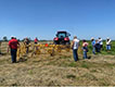 Hay raking demonstration.