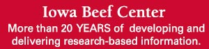 IBC -- More than 20 years of working to develop and deliver research-based information