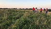People attending pasture walk.