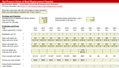 photo: Example of the Net Present Value of Beef Replacement Females decision tool.