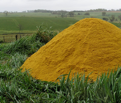 photo: Modified distillers grains pile