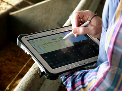 Using the Feedlot Monitoring Program to record feed bunk scores. 